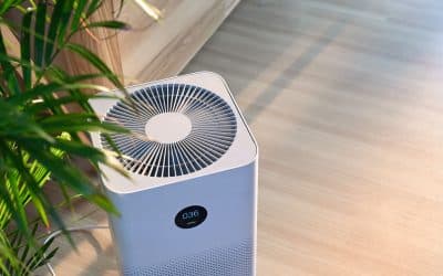 HEPA vs. Activated Carbon: Choosing the Best Air Purifier Technologies in Colorado Springs