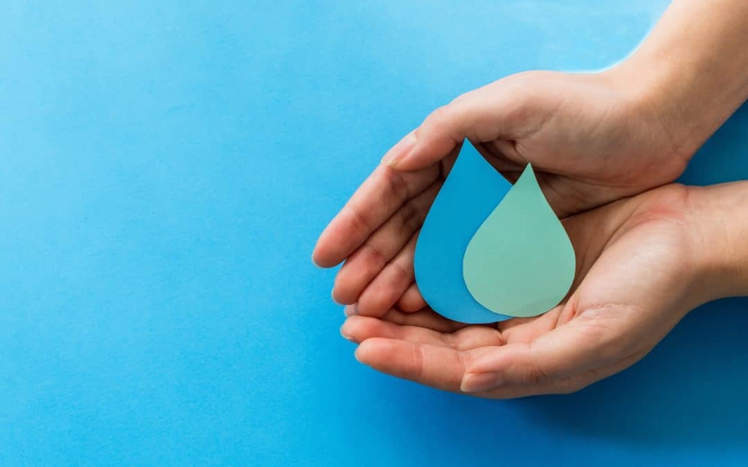 water filtration systems promote sustainability